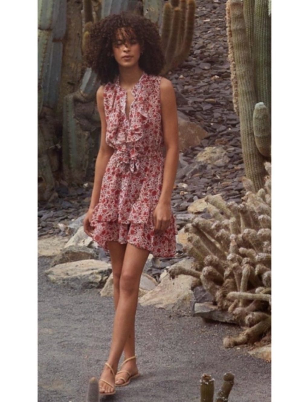 MISA Eba Ruffled Mini Dress Animal Floral Size S Tiered Sheer Lined Red Feminine